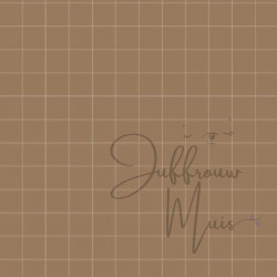 Wiskunde ruitje A4 papier (cappuccino )