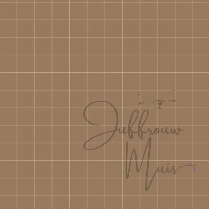 Wiskunde ruitje A4 papier (cappuccino )