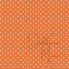 Cardstock - Appeltjes van oranje - SALE