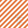 Cardstock - Appeltjes van oranje - SALE
