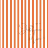 Cardstock - Appeltjes van oranje - SALE