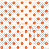 Cardstock - Appeltjes van oranje - SALE