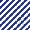 Cardstock - Hollands blauw - SALE