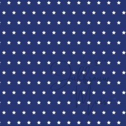 Cardstock - Hollands blauw - SALE