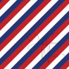 Cardstock - Hollands blauw - SALE