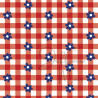Cardstock - Hollands rood  - SALE