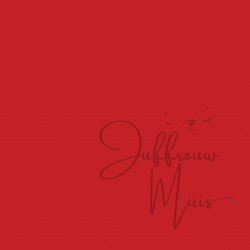 Cardstock - Hollands rood  - SALE