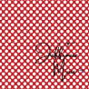 A4 papier (Hollands rood - grote stip)