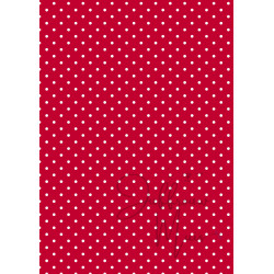 Tiny Cardstock -  A5 - Kerstrood