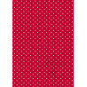 Tiny Cardstock -  A5 - Kerstrood