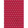 Tiny Cardstock -  A5 - Kerstrood