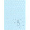 Tiny Cardstock -  A5 - licht blauw