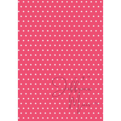 Tiny Cardstock -  A5 - Framboosrood