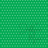 Tiny Cardstock -  A5 - Kikkergroen