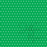 Tiny Cardstock -  A5 - Kikkergroen