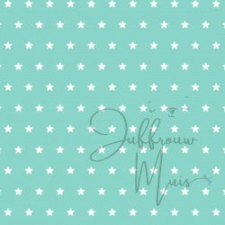 Tiny Cardstock -  A5 - Mint