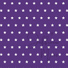 Tiny Cardstock -  A5 - Violet