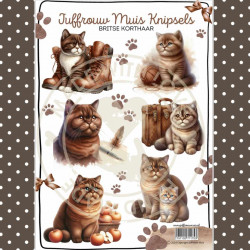 Juffrouw Muis Knipsel - Britse korthaar