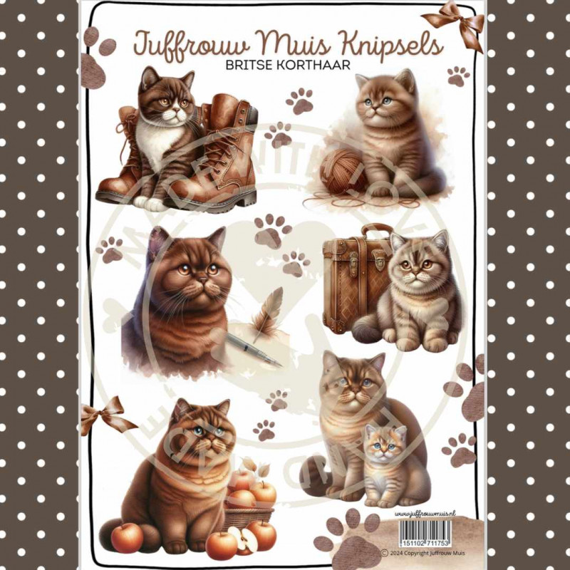 Juffrouw Muis Knipsel - Britse korthaar