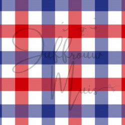 Tiny Cardstock -  A5 - Hollandse ruitjes - Silk edition