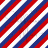 Tiny Cardstock -  A5 - Hollandse ruitjes - Silk edition