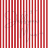 Tiny Cardstock -  A5 - Hollands Rood - Silk edition