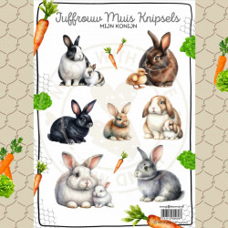 Juffrouw Muis Knipsel - Mijn Konijn