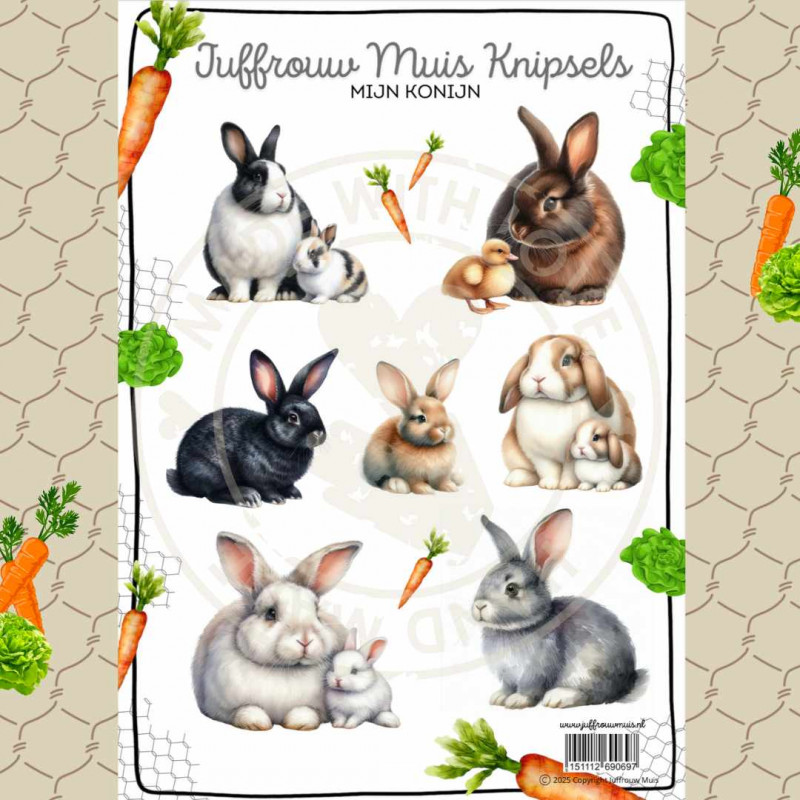 Juffrouw Muis Knipsel - Mijn Konijn