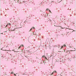 Cardstock - Blossom