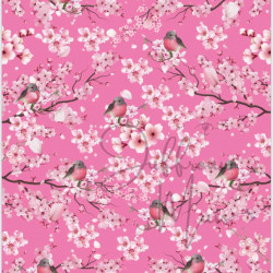 Cardstock - Blossom