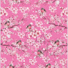 Cardstock - Blossom