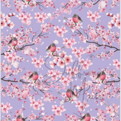 Cardstock - Blossom