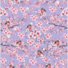 Cardstock - Blossom