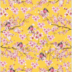 Cardstock - Blossom