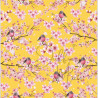 Cardstock - Blossom
