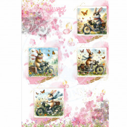 Juffrouw Muis Paperpad - Rabbit Hill