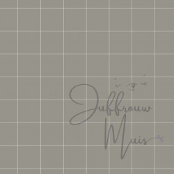 Tiny Cardstock -  A5 - Muisgrijs