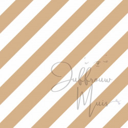 Tiny Cardstock -  A5 - Biscuit
