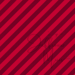 Cardstock - Cozy Winter