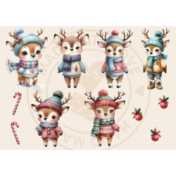 Cardstock -  Special Edition A5 Winter