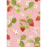 Paperpad Pocket sized -  Strawberry Studio