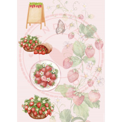 Paperpad Pocket sized -  Strawberry Studio