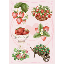 Paperpad Pocket sized -  Strawberry Studio