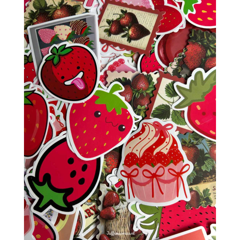 Strawberry Plakkers - 30 stuks