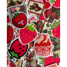 Strawberry Plakkers - 30 stuks