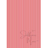 Tiny Cardstock -  A5 - Aardbeirood Rood - Silk edition