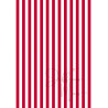Tiny Cardstock -  A5 - Kerstrood