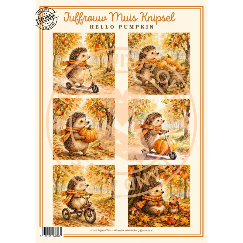 Juffrouw Muis Knipsel - Hello Pumpkin