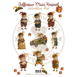 Het grote Juffrouw Muis Sinterklaas Pakket
