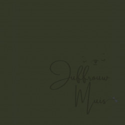 Tiny Cardstock -  A5 - Velvet Moss - Silk Edition